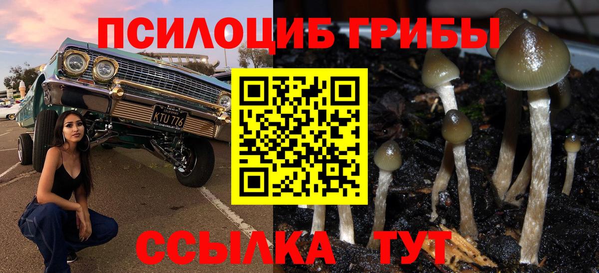 Псилоцибиновые грибы Magic Shrooms  Вход с VPN  Североуральск 