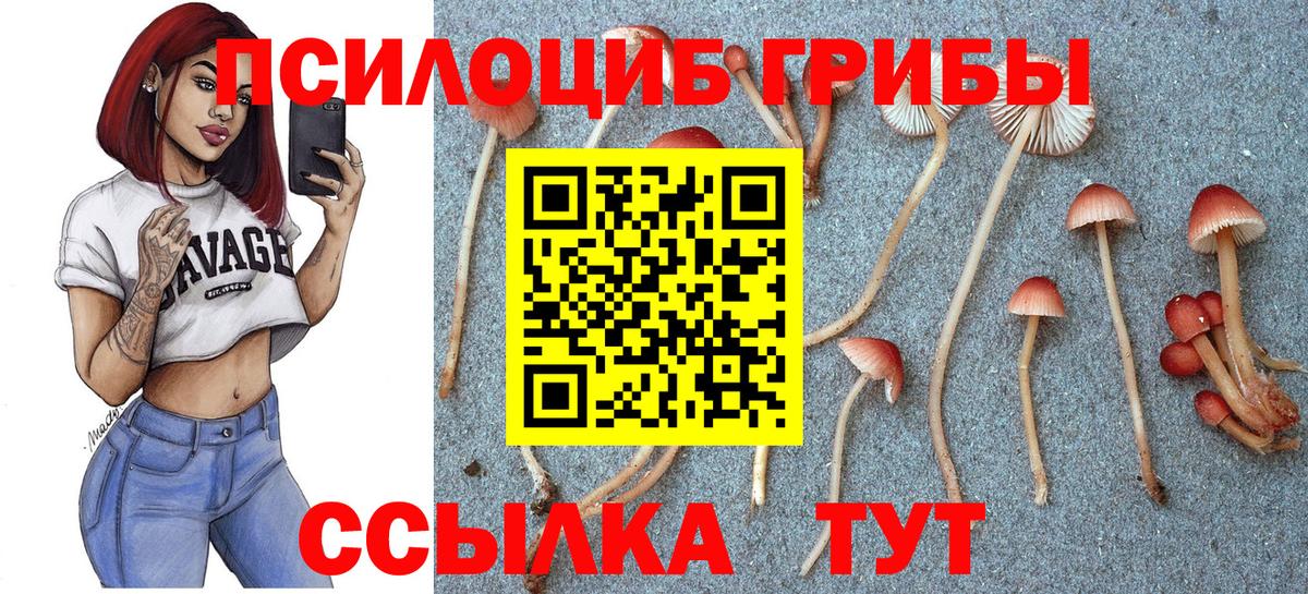 Галлюциногенные грибы GOLDEN TEACHER Североуральск