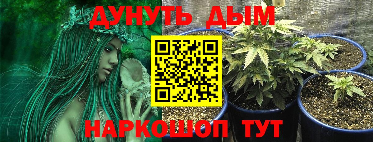 Бошки Шишки MAZAR  Шишки марихуана марихуана  Вход с VPN  Североуральск  Шишки марихуана Ganja  Канабис индика 